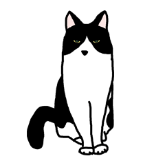[LINEスタンプ] 猫はあまりしゃべらない(ハチワレ)の画像（メイン）