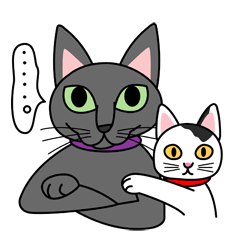 [LINEスタンプ] せじゃねこ日誌の画像（メイン）