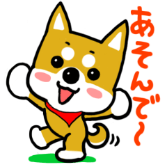 GOGO！柴犬くん