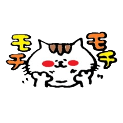 [LINEスタンプ] もちねこ君 1の画像（メイン）