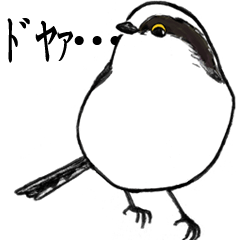 [LINEスタンプ] 日本の野鳥1