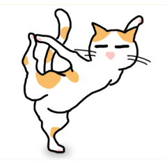 [LINEスタンプ] ヨガ猫 スタンプの画像（メイン）