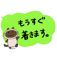 [LINEスタンプ] シャムにゃんこ その3 吹き出し風スタンプの画像（メイン）