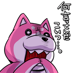 [LINEスタンプ] ぴωくの柴犬の画像（メイン）