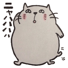 [LINEスタンプ] ねこくん