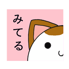 [LINEスタンプ] 端っこから猫