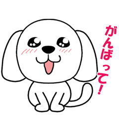 [LINEスタンプ] マルチーズの麻瑠(マル)ちゃんの画像（メイン）