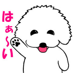 [LINEスタンプ] ビションフリーゼのスタンプの画像（メイン）