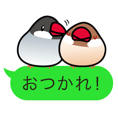 [LINEスタンプ] ふきだし文鳥