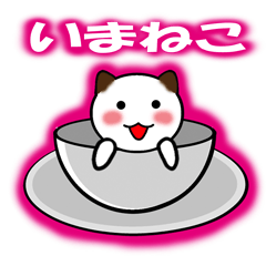 [LINEスタンプ] いまネコの画像（メイン）