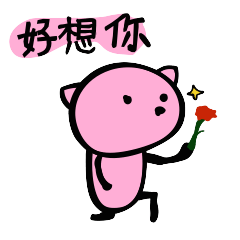 [LINEスタンプ] 幸せを呼ぶピンク色の猫（繁体字ver.）の画像（メイン）