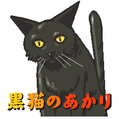 [LINEスタンプ] 黒猫のあかり