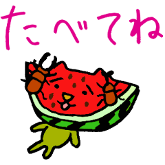 [LINEスタンプ] もっくんのかわいいスイカねこの画像（メイン）