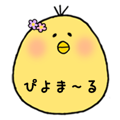 [LINEスタンプ] ひよこのぴよま～るの画像（メイン）