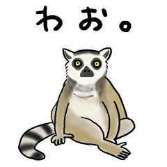 [LINEスタンプ] いろいろ動物園の画像（メイン）