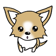 [LINEスタンプ] チワワ 犬スタンプの画像（メイン）