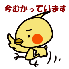 [LINEスタンプ] 小鳥の待ち合わせ用だよ