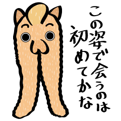 [LINEスタンプ] 異次元先輩との再会