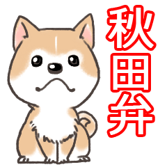 [LINEスタンプ] 秋田弁だぎゃ。秋田の柴犬スタンプの画像（メイン）