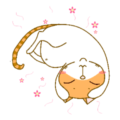 [LINEスタンプ] Double Chin Cat: Mr. ChyoChyoの画像（メイン）