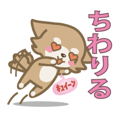 [LINEスタンプ] チワワのちわりるの画像（メイン）