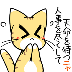 [LINEスタンプ] ニャン太のことわざニャンダフル2 あ～た行