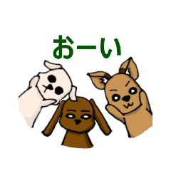 [LINEスタンプ] 犬三匹の画像（メイン）