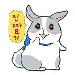 [LINEスタンプ] うさもるの毎日の韓国語