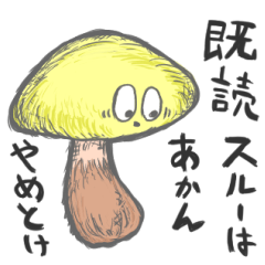 [LINEスタンプ] 関西弁きのこ図鑑の画像（メイン）