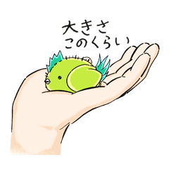 [LINEスタンプ] こけ