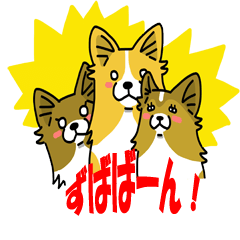 [LINEスタンプ] 3コーギーさんの画像（メイン）