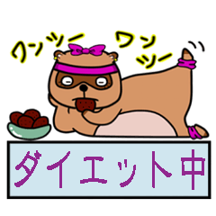 [LINEスタンプ] かわいいtanukiのお知らせスタンプの画像（メイン）