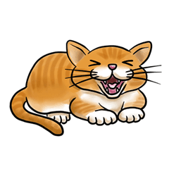 [LINEスタンプ] ねこめっせの画像（メイン）