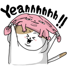 [LINEスタンプ] うさ帽子とねこ