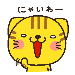 ねこのきほんセット