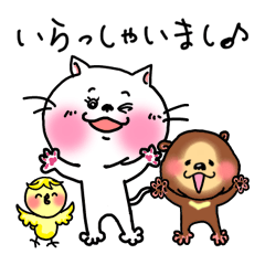 [LINEスタンプ] ニャーチ挨拶日常会話 ねこ・くま・ひよこ