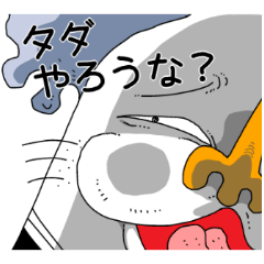 [LINEスタンプ] 白猫バッバの画像（メイン）