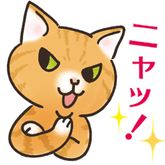 [LINEスタンプ] 猫語は世界を救うのニャ！の画像（メイン）