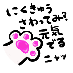 [LINEスタンプ] 奇跡を起こすニャンコ☆