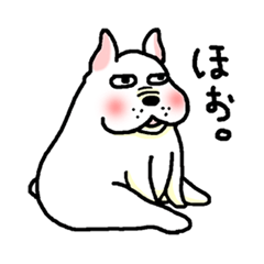 [LINEスタンプ] 犬のウメの画像（メイン）