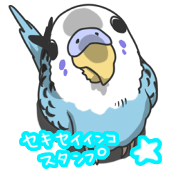 [LINEスタンプ] セキセイインコの画像（メイン）