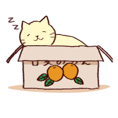 [LINEスタンプ] どこでも眠るねこの画像（メイン）