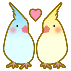 [LINEスタンプ] インコの日常