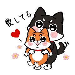 [LINEスタンプ] Shiba couple