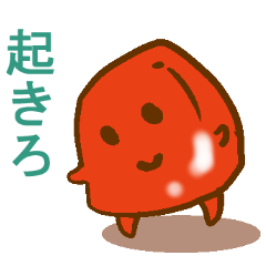 [LINEスタンプ] ゼリースタンプ オレンジゼリーと仲間たちの画像（メイン）