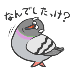 [LINEスタンプ] ぽっぽのぽってぃ。の画像（メイン）