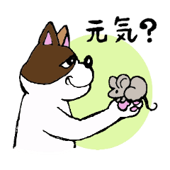 [LINEスタンプ] お人好しねこのぽんちゃん