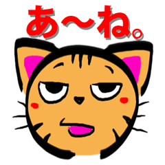 [LINEスタンプ] ねこ ネコ 猫 キャット スタンプの画像（メイン）