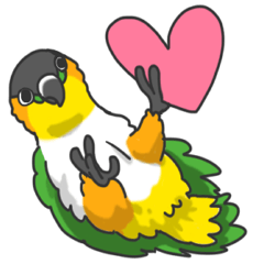 [LINEスタンプ] ズグロシロハラインコ＆シロハラインコ