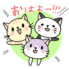 [LINEスタンプ] 猫ねこガールズの画像（メイン）